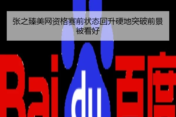 张之臻美网资格赛前状态回升硬地突破前景被看好